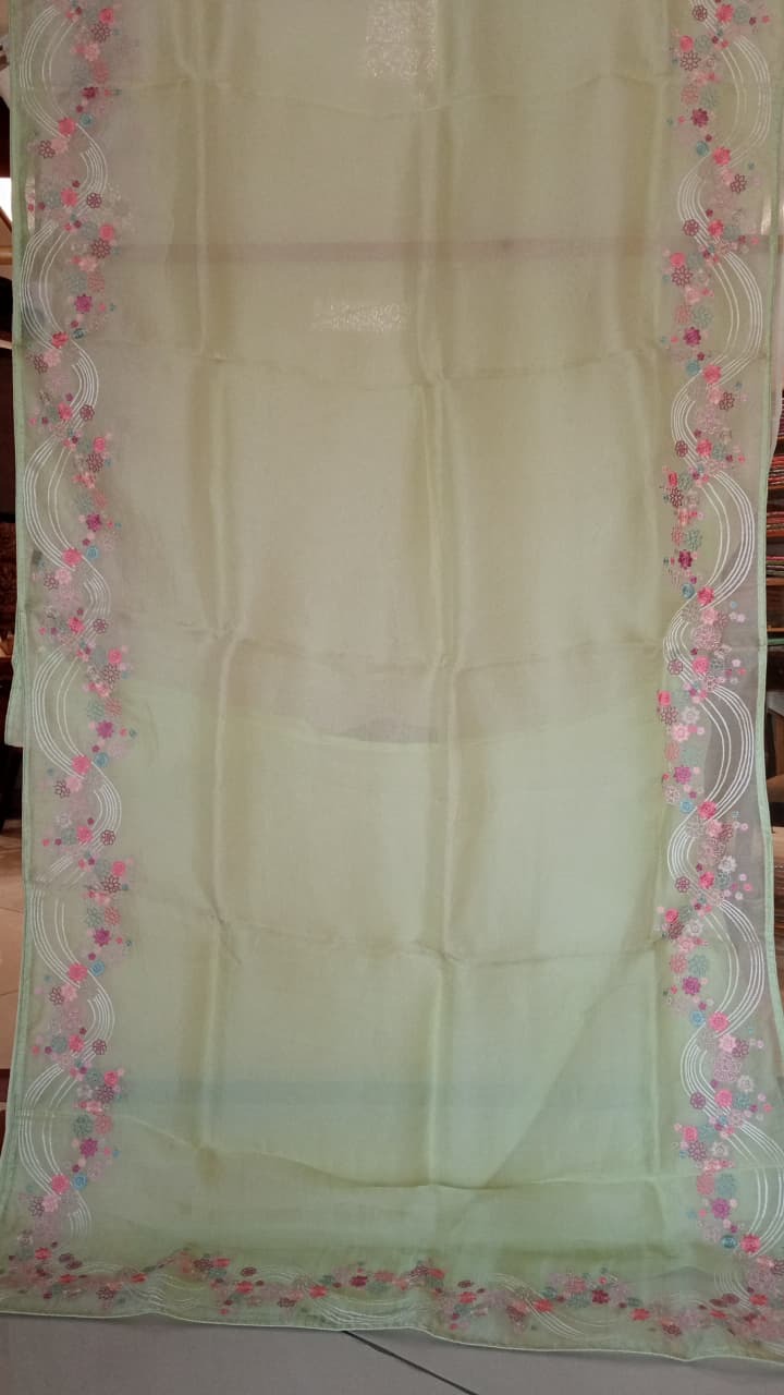 Pista Green Pure Organza Saree with Thread Work